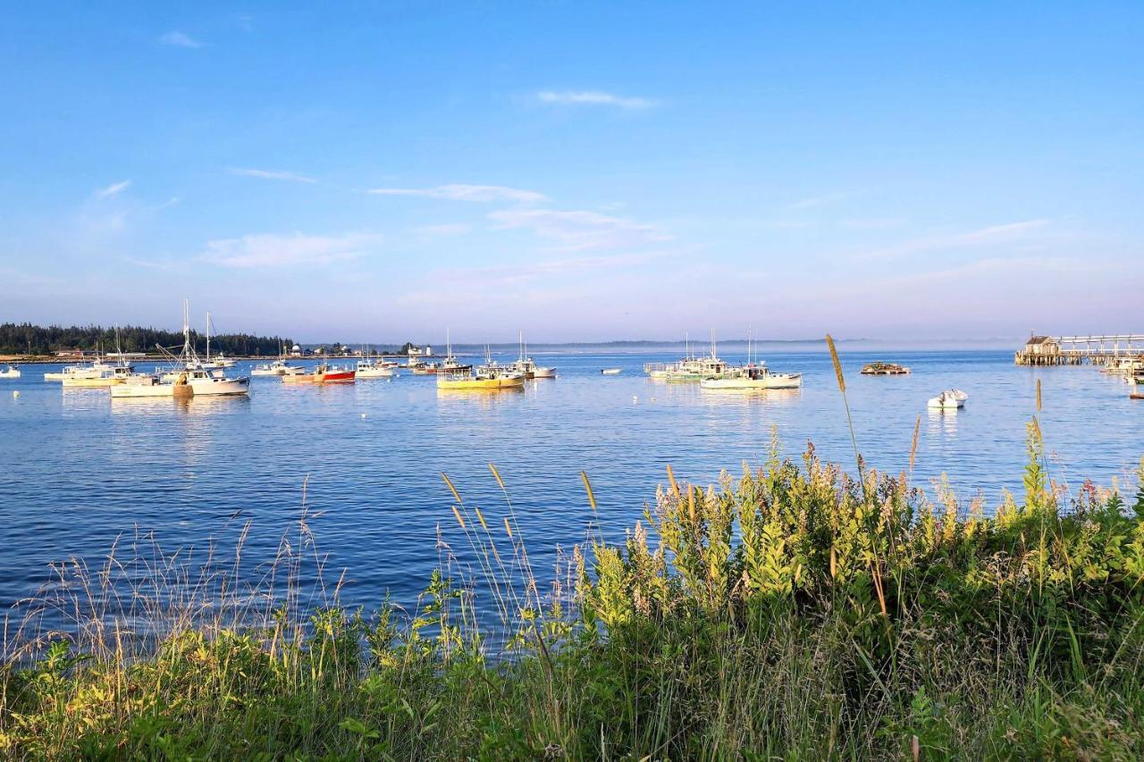 Hidden Gem Cottage Near Blue Hill Peninsula Brooklin المظهر الخارجي الصورة