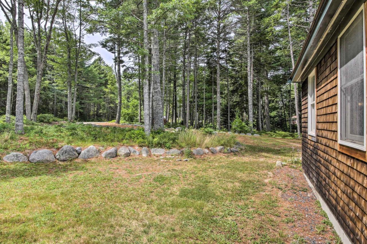 Hidden Gem Cottage Near Blue Hill Peninsula Brooklin المظهر الخارجي الصورة