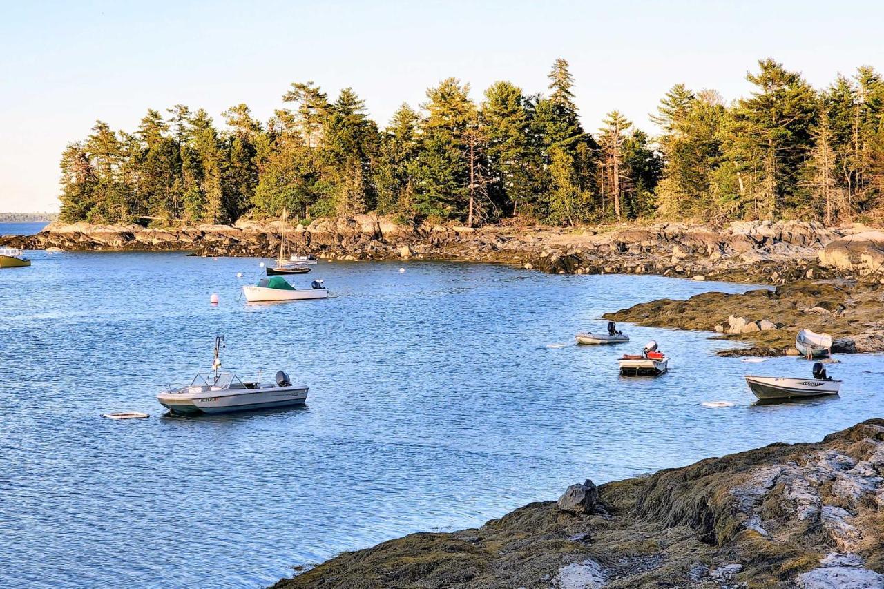 Hidden Gem Cottage Near Blue Hill Peninsula Brooklin المظهر الخارجي الصورة