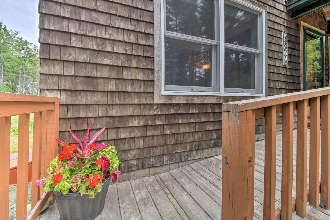 Hidden Gem Cottage Near Blue Hill Peninsula Brooklin المظهر الخارجي الصورة